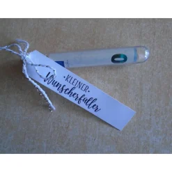 Geldgeschenk Weihnachten Wichtel Reagenzglas Geldverpackung Wunscherfüller Weihnachtsgeschenk Wichtelgeschenk