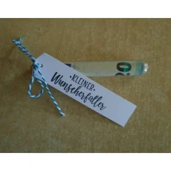 Geldgeschenk zur Kommunion Junge Mädchen Reagenzglas Geldverpackung Wunscherfüller Kommunionsgeschenk,Bau Geschenk