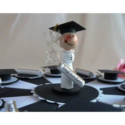 Geldgeschenk/Geldgeschenktorte/Schachteltorte zur Promotion/für eine Abiturientin, 23 cm Ø