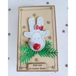 Geldgeschenkschachtel Elch – Originelle Streichholzschachtel für Geldgeschenke zu Weihnachten