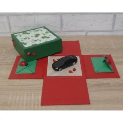 Geldgeschenkverpackung - Auto/Führerschein