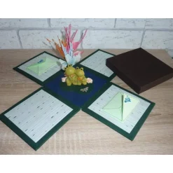 Geldgeschenkverpackung - Froschteich