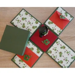 Geldgeschenkverpackung - 