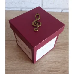 Geldgeschenkverpackung - Streichinstrument/Klassikkonzert