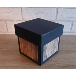 Geldgeschenkverpackung - Unten im Meer