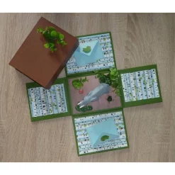 Geldgeschenkverpackung - Zoo/Safari