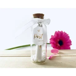 Geschenk Lehrerin/ beste Lehrerin der Welt / Flaschenpost / Abschied