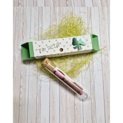 Geschenkbox für Geldgeschenk Reagenzglas – Handgemachte Geschenkidee