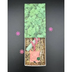 Geschenkbox Glücksschwein – Handgemachte Geschenkverpackung für Glückwünsche