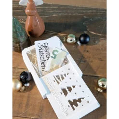 Geschenkschachtel | Geschenkverpackung | Gutscheinverpackung | Weihnachten | Geschenkset | Geldgeschenk | Raysin