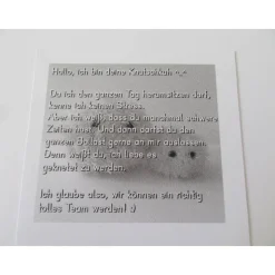 Geschenkset Stressbälle - Knutschkühe personalisierbar