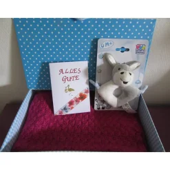 Geschenkset zur Geburt - Babydecke, Babyspielzeug und Karte