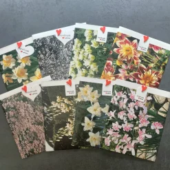 Geschenktüte Papiertüte mit Pflanzenmotiven