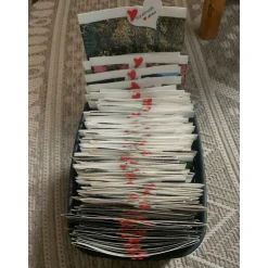 Geschenktüte Papiertüte mit Pflanzenmotiven