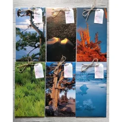 Geschenktüten Papiertüten aus einem Natur Bildband