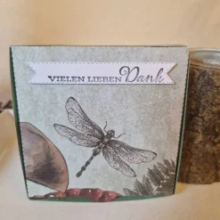 Geschenkverpackung / Geschenkset / Libelle / Gute Laune Gruß / Libellenmotiv Verpackung / Geschenk Insektenmotiv