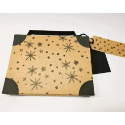 Geschenkverpackung in Kofferoptik aus Karton für ein Geldgeschenk zum Urlaub oder Reisegutschein (18x13,5x3,3 cm)