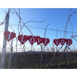 Girlande I Love You Herzen Valentinstag Liebe Wimpelkette Herzgirlande Valentinsdeko Verlobung Papierdeko