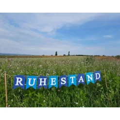 Girlande zum Ruhestand / Rente / Auf Wunsch personalisiert mit Wunschtext / Abschied /