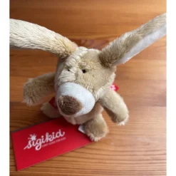 Glückwunsch zur Schwangerschaft!, für werdende Eltern, Häschen, kleine Windeltorte Hase, Geschenk zur Schwangerschaft