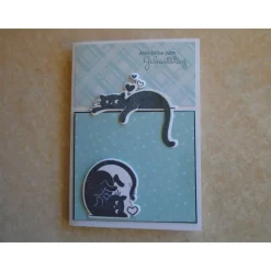 Glückwunschkarte Geburtstagskarte Grußkarte Katze Katzen Katzenfan Farbe nach Wahl Stampin up