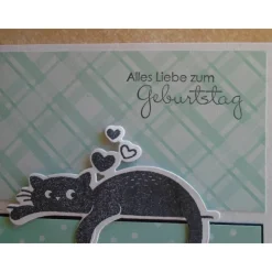 Glückwunschkarte Geburtstagskarte Grußkarte Katze Katzen Katzenfan Farbe nach Wahl Stampin up