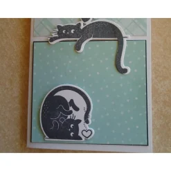 Glückwunschkarte Geburtstagskarte Grußkarte Katze Katzen Katzenfan Farbe nach Wahl Stampin up