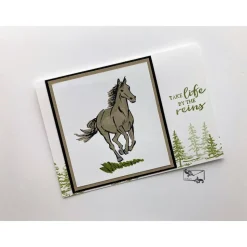 Glückwunschkarte Geburtstagskarte für Pferdefreunde Stampin up! Handarbeit