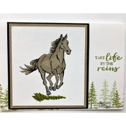 Glückwunschkarte Geburtstagskarte für Pferdefreunde Stampin up! Handarbeit