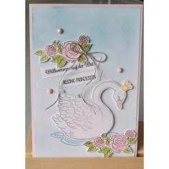 Glückwunschkarte zur Geburt, verschiedene Designs