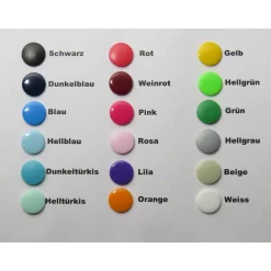 Gotteslob Hülle Gotteslobhülle großer Fisch mit Name und Datum - Normalausgabe - Kommunion Firmung Geschenk