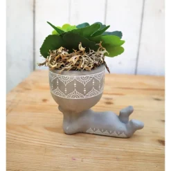 Grünpflanzen Gesteck in Figuren Topf