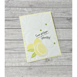 Grußkarten / Glückwunschkarten zum Geburtstag, „Einen spritzigen Geburtstag“, Zitronen, Geburtstagskarte, Stampin‘ Up!
