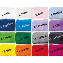 Gästehandtuch ( 30 x 50 cm ) + Dinosaurier Motiv (#Nr.11) + Name / Kinderhandtuch