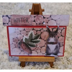 Gutscheinverpackung " Winter " Tannenzapfen , Eichhörnchen , Holzoptik