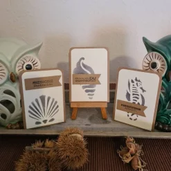 Gutscheinverpackungen - Maritim - Muscheln - Seepferdchen - 3er Set