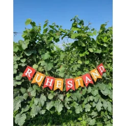 Handgefertigte Girlande zum Ruhestand Rente tolle Farben Abschied Kollege Kollegin