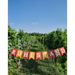 Handgefertigte Girlande zum Ruhestand Rente tolle Farben Abschied Kollege Kollegin