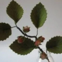 Haselnuss - Blumenkind - Jahreszeitentisch - Waldorf Art- Art.Nr. HE26