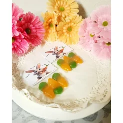 Hasenfutter To-Go, Ostern, Frühling, Osterhase, Mitbringsel, Mitgebsel, Geschenk, Ostergeschenk, Kleinigkeit, Gastgesche