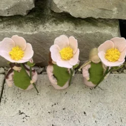 Heckenrose -  Jahreszeitentisch - Blumenkind - Sommer