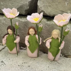 Heckenrose -  Jahreszeitentisch - Blumenkind - Sommer