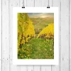 Herbst im Weinberg, Weinland Franken, Herbstlaub gelb, Heimatbild Unterfranken, Fotokunst, Größe 18 x 24 cm