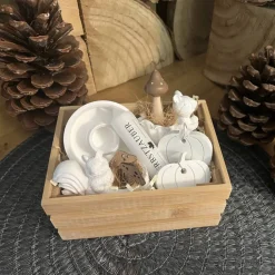 Herbstzauber Geschenkset handgemachte Raysin-Deko mit Eichhörnchen Kürbissen & Kerzenlicht