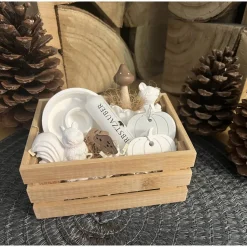 Herbstzauber Geschenkset handgemachte Raysin-Deko mit Eichhörnchen Kürbissen & Kerzenlicht