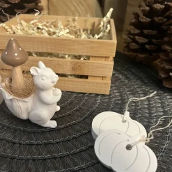 Herbstzauber Geschenkset handgemachte Raysin-Deko mit Eichhörnchen Kürbissen & Kerzenlicht