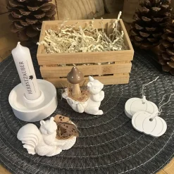Herbstzauber Geschenkset handgemachte Raysin-Deko mit Eichhörnchen Kürbissen & Kerzenlicht