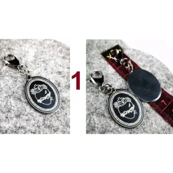 Herren-Charivari aus Edelstahl, Trachtenschmuck, 2- reihig, Frank