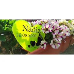 Herz Namen Datum gelb blau rot Baby