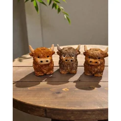 Hochlandrind aus Raysin